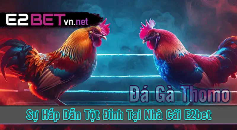 Lợi Ích khi tham gia Đá gà thomo tại e2bet