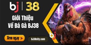 BJ38 - Giới thiệu về đá gà BJ38