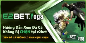 KÈO CHẤP - ĐÁ GÀ TRỰC TIẾP - E2 BET [E2BET.TRAVEL]