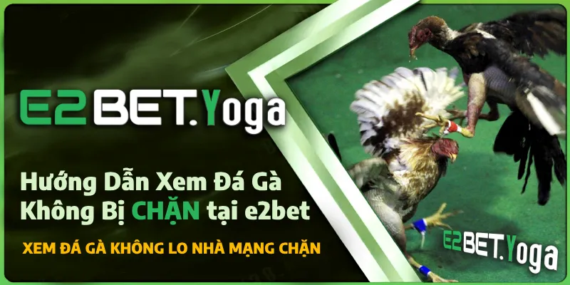 Hướng Dẫn Xem Đá Gà Không Bị CHẶN tại e2bet