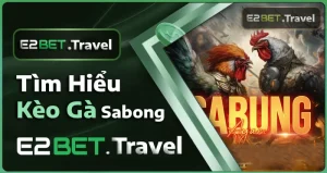 Tìm hiểu kèo gà tại E2BET