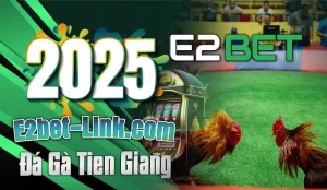 Đá gà tiền giang - 2025 [e2bet-link.net] #e2bet