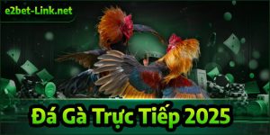 Đá gà trực tiếp 2025 tại e2bet