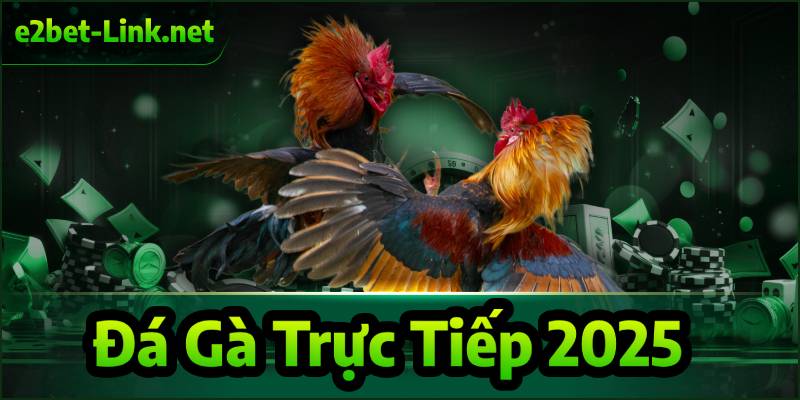 Đá gà trực tiếp 2025 tại e2bet