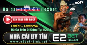 E2bet Nhà cái E2 Bet Đá gà trực tiếp - ĐK nhận 222K
