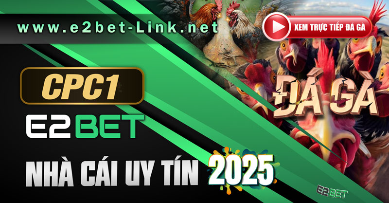 Trường gà CPC1 - bồ gà thomo tại campuchia