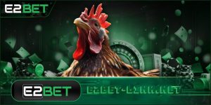 Giới thiệu về đá gà cựa sắt