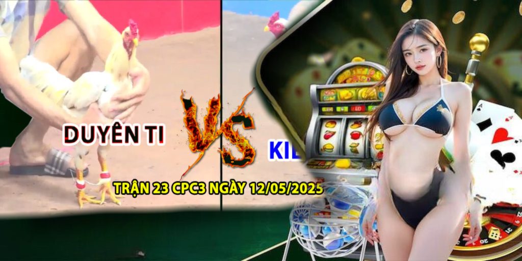 Giới thiệu về trường gà Campuchia