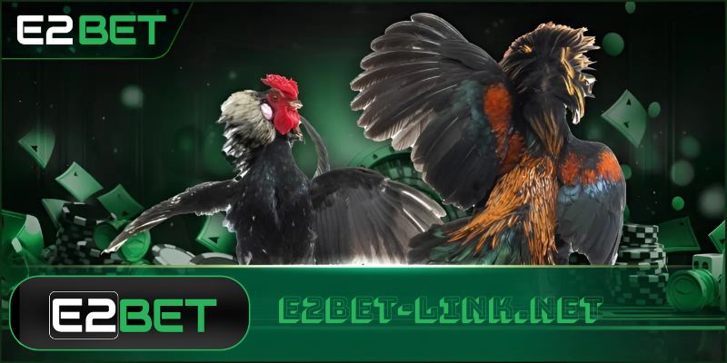 Luật chơi đá gà cựa sắt