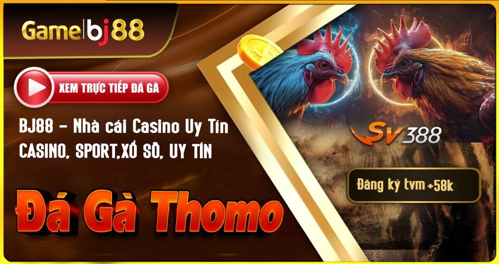 Quy Định Về Cá Cược Đá Gà BJ88 Ra Sao?